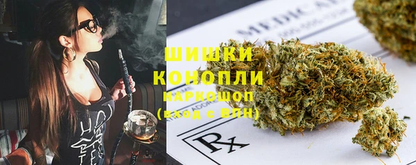a pvp Бородино