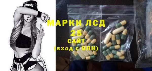 a pvp Бородино