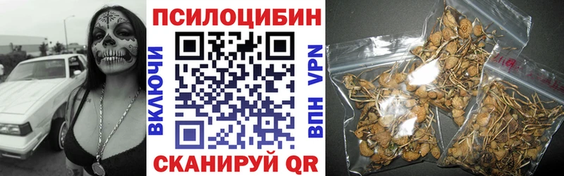 Псилоцибиновые грибы MAGIC MUSHROOMS  купить наркотик  Верхнеуральск 